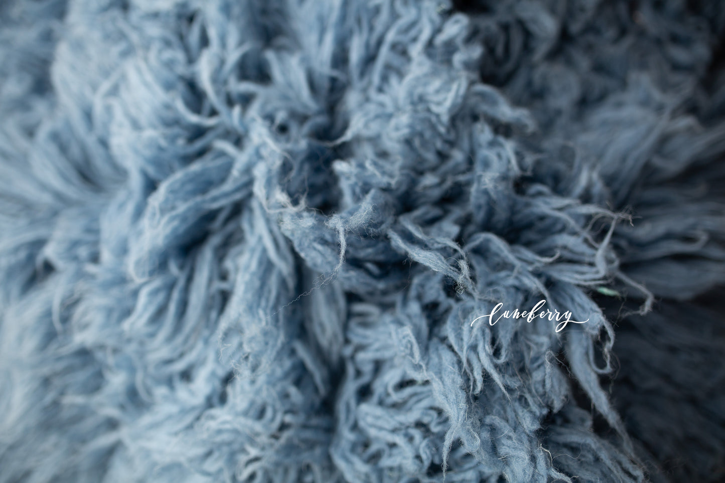 dusty blue close up