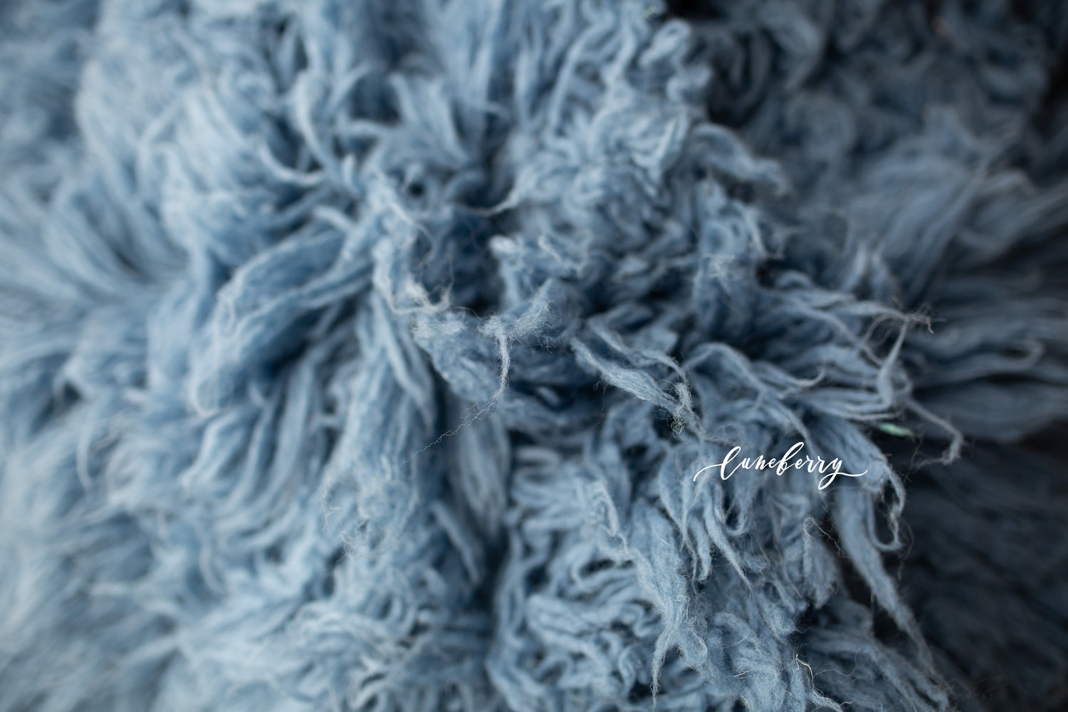 dusty blue close up