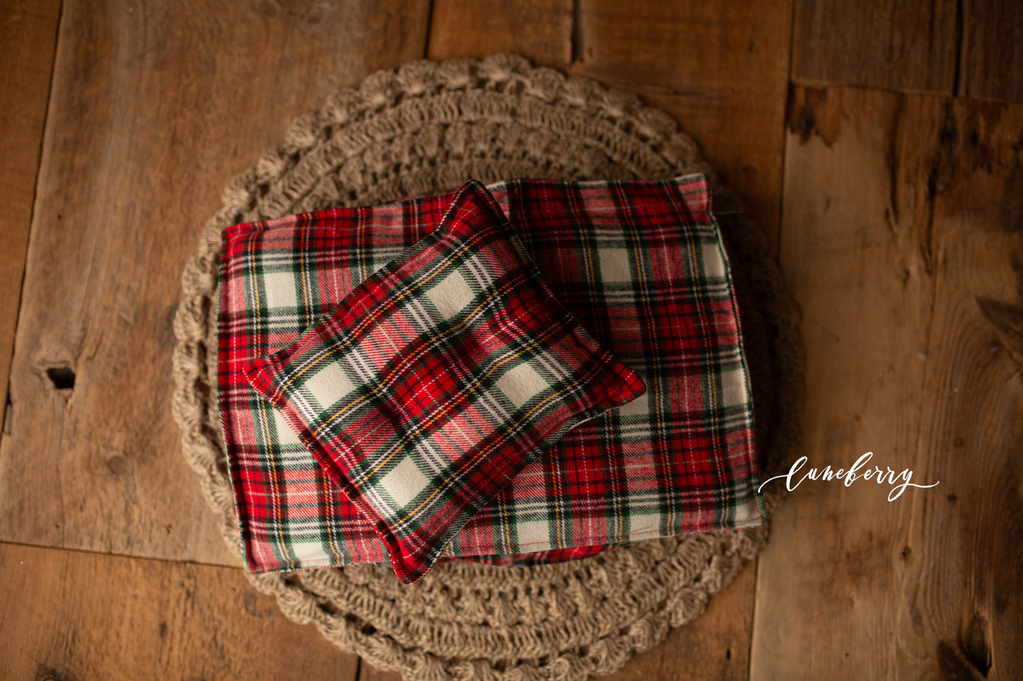 Christmas Plaid Mattress Cover + Blankie