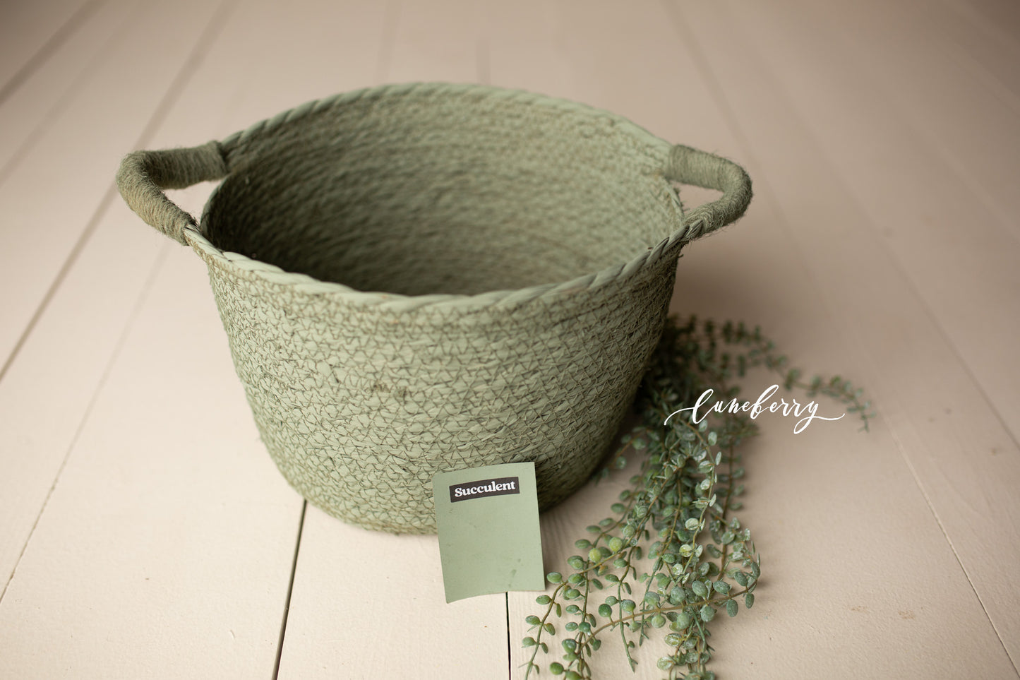 SUCCULENT Itty Bitty Basket- NN Seamless