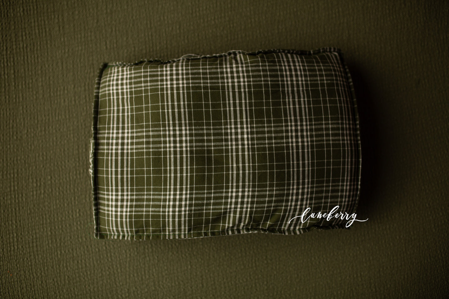 WILLOW Fabric