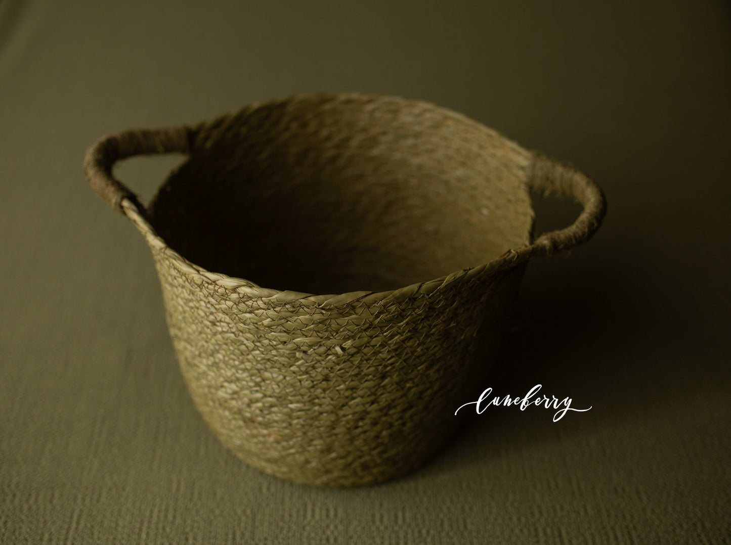 WILLOW Fabric