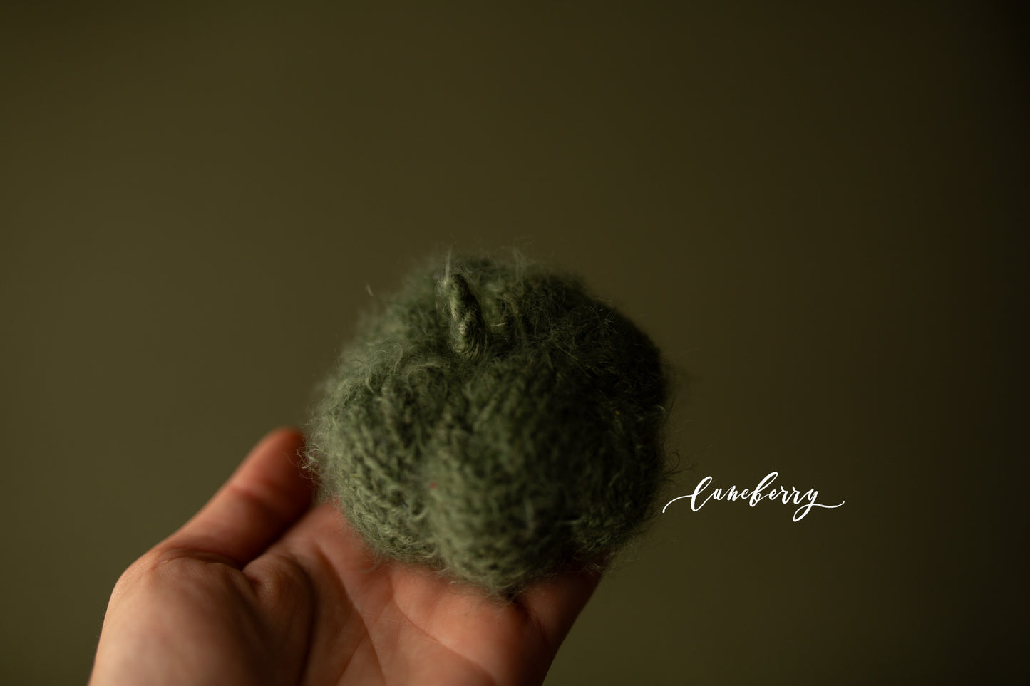 WILLOW Fabric