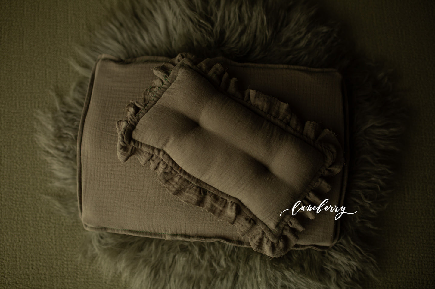 WILLOW Fabric