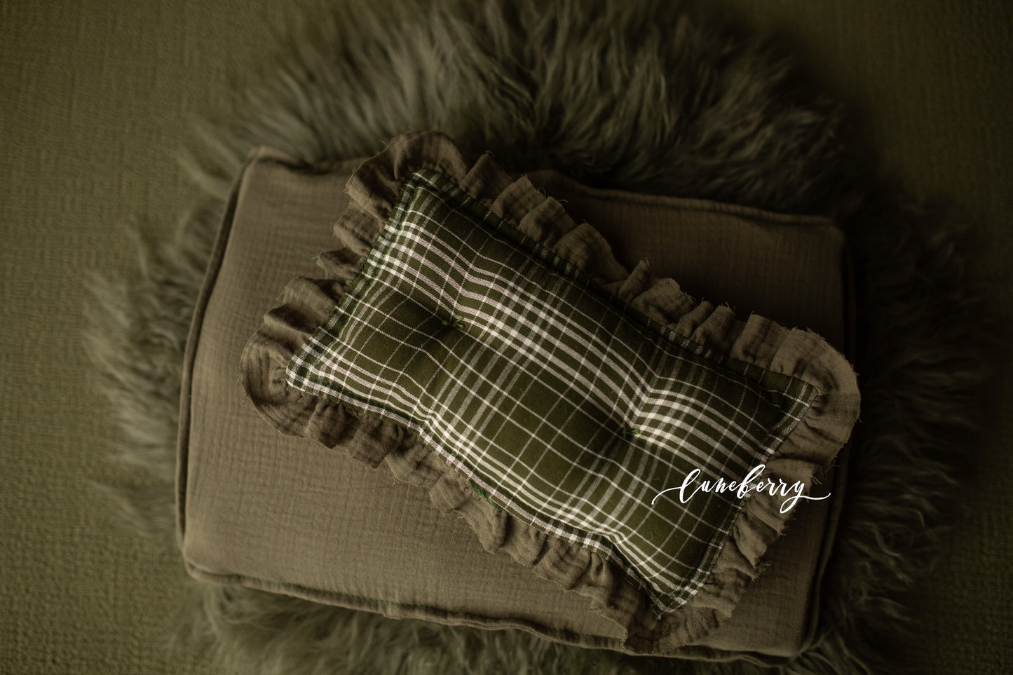 WILLOW Fabric