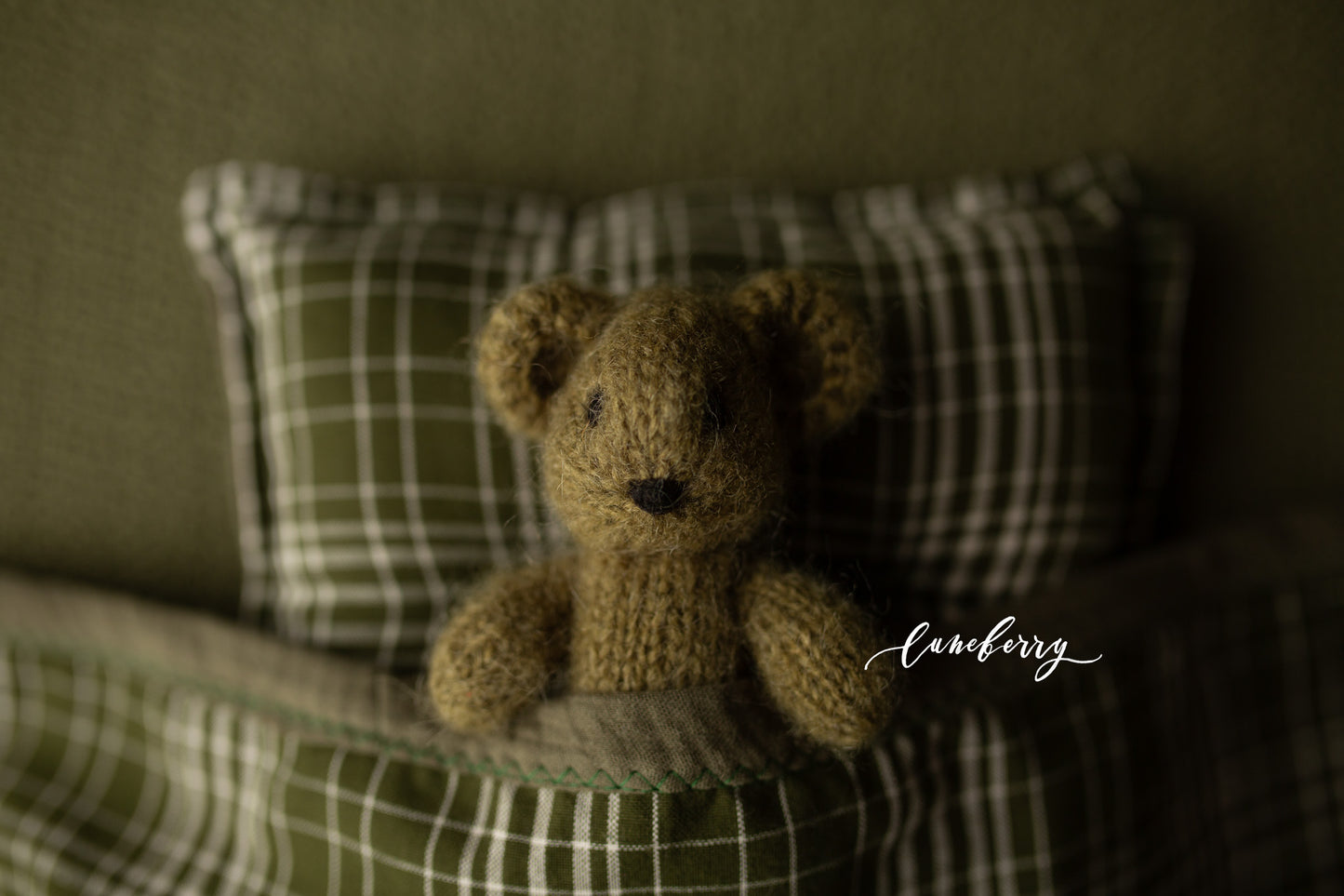 WILLOW Fabric