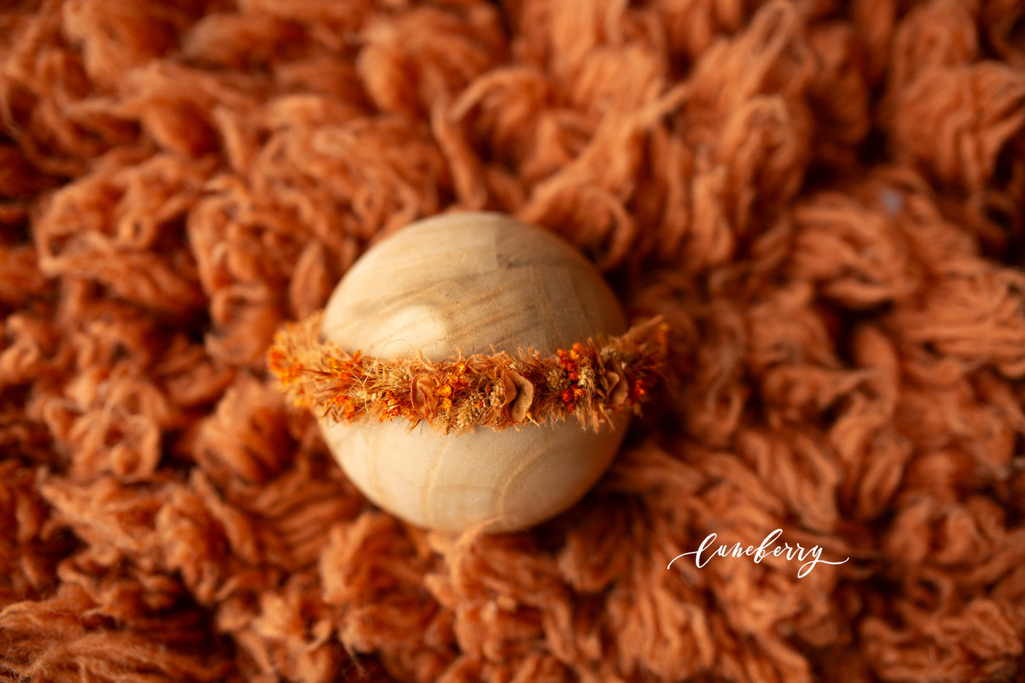 SPICED CIDER