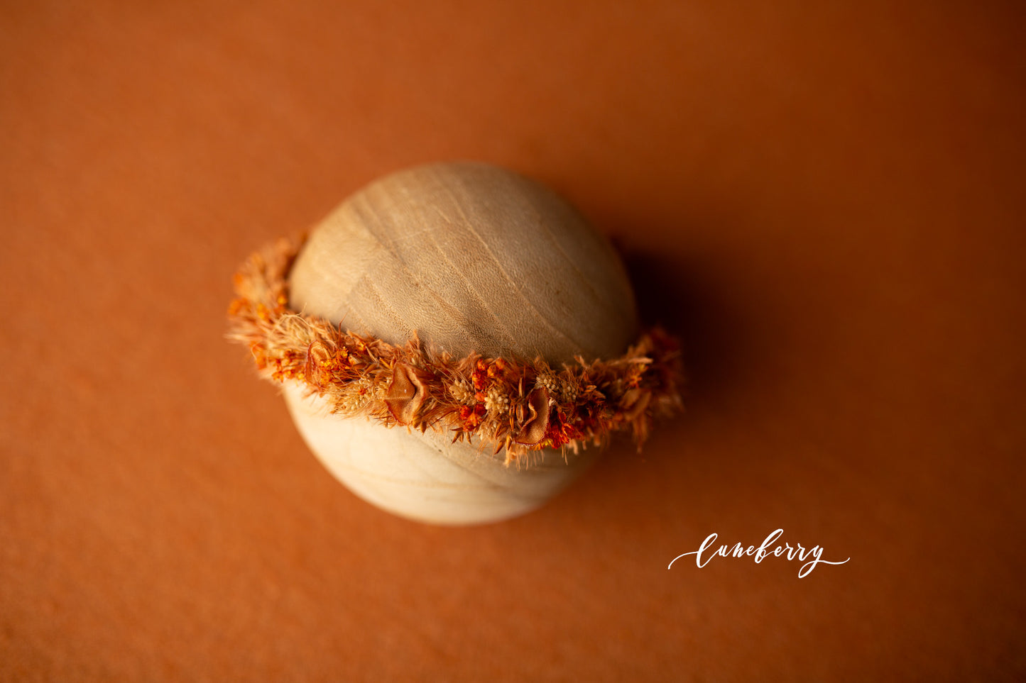 SPICED CIDER