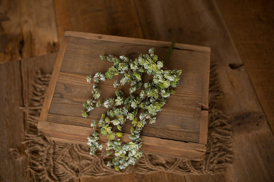 Mini Floral Succulent stem