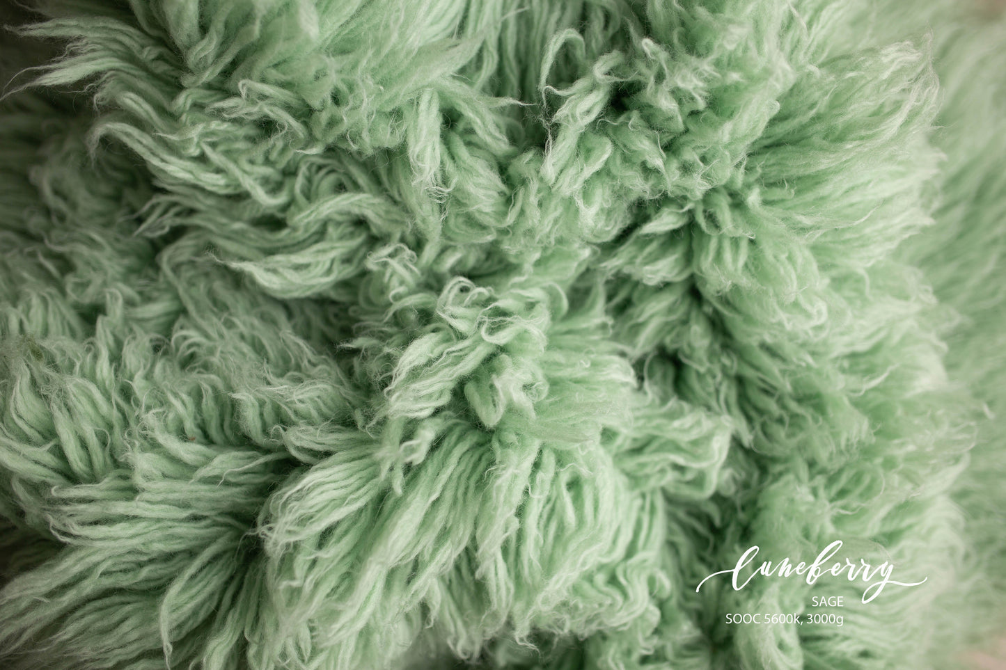SAGE Premium Wool Flokati *PRE-ORDER*