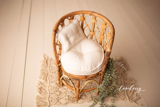 Iris Chair Styled Set