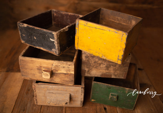 Bruno's Little Box