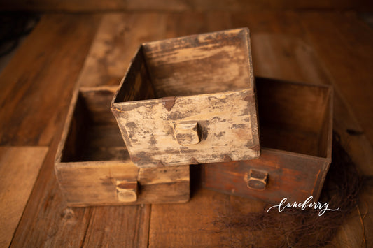 Bruno's Little Box