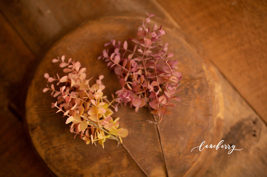 Eucalyptus Colored Bunch