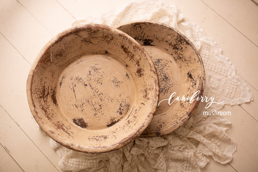 Vintage Bowls - Mushroom