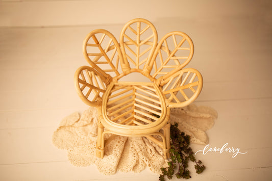 Daisy Chair