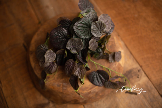 Eggplant Leaf Bunch