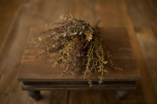 Fall Foliage