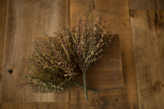Fall Foliage