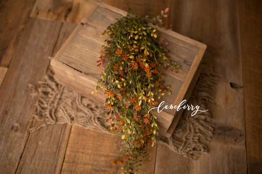 Autumn Foliage