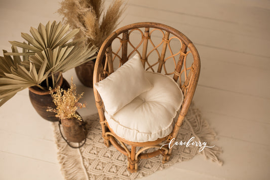 Iris Chair mattress set