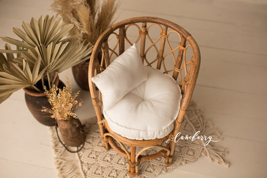 Iris Chair mattress set