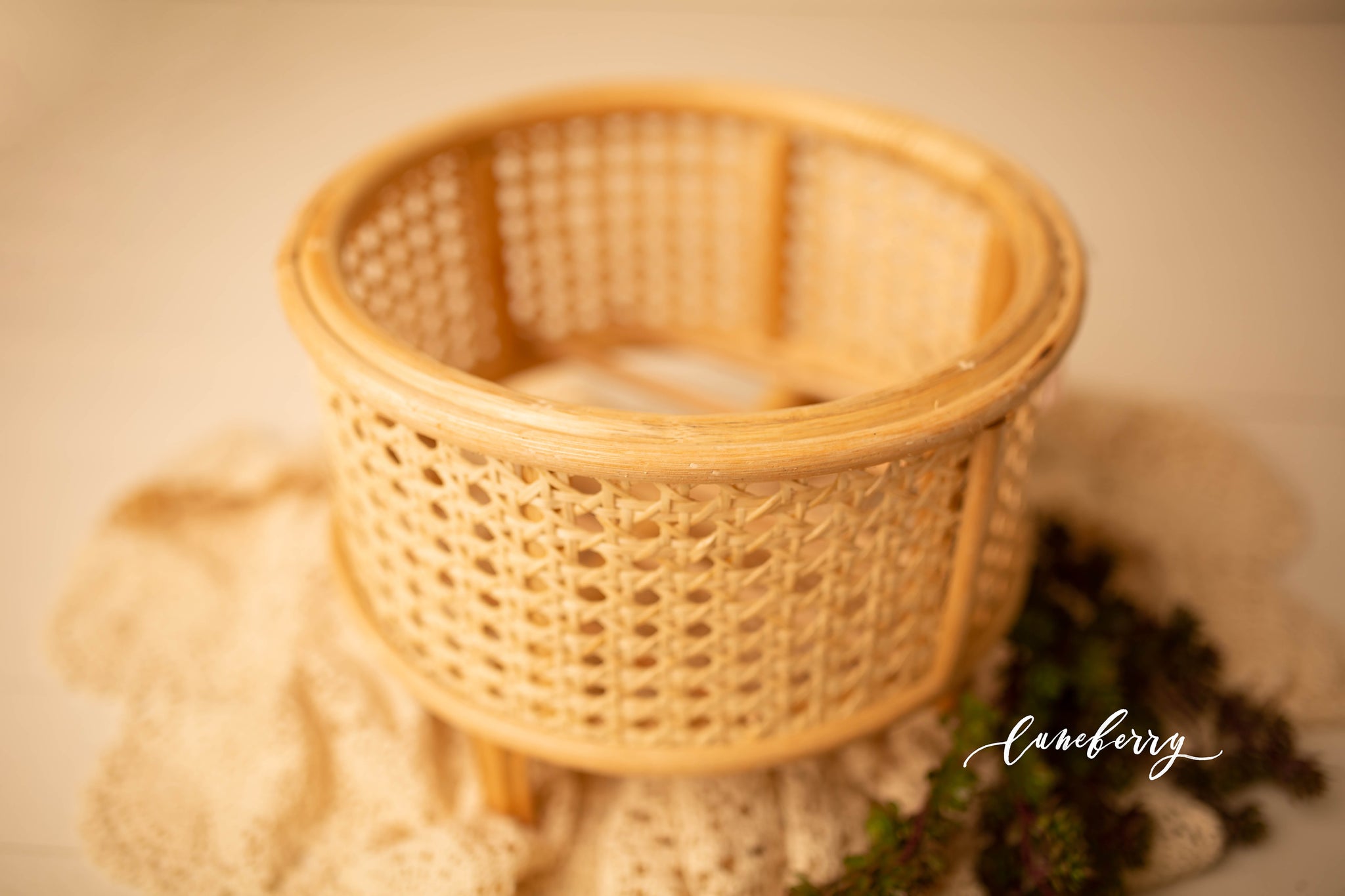 Jenny's Basket Luneberry, LLC