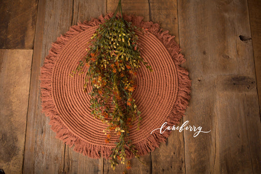 Autumn Foliage