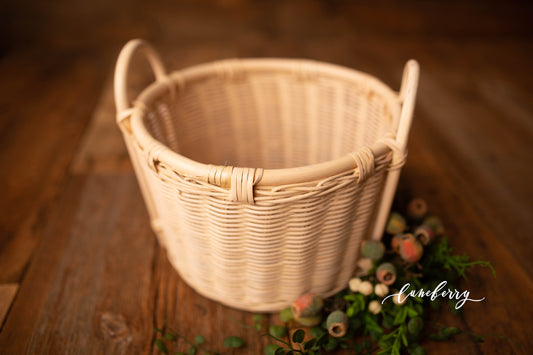 Sonia Weaved Basket