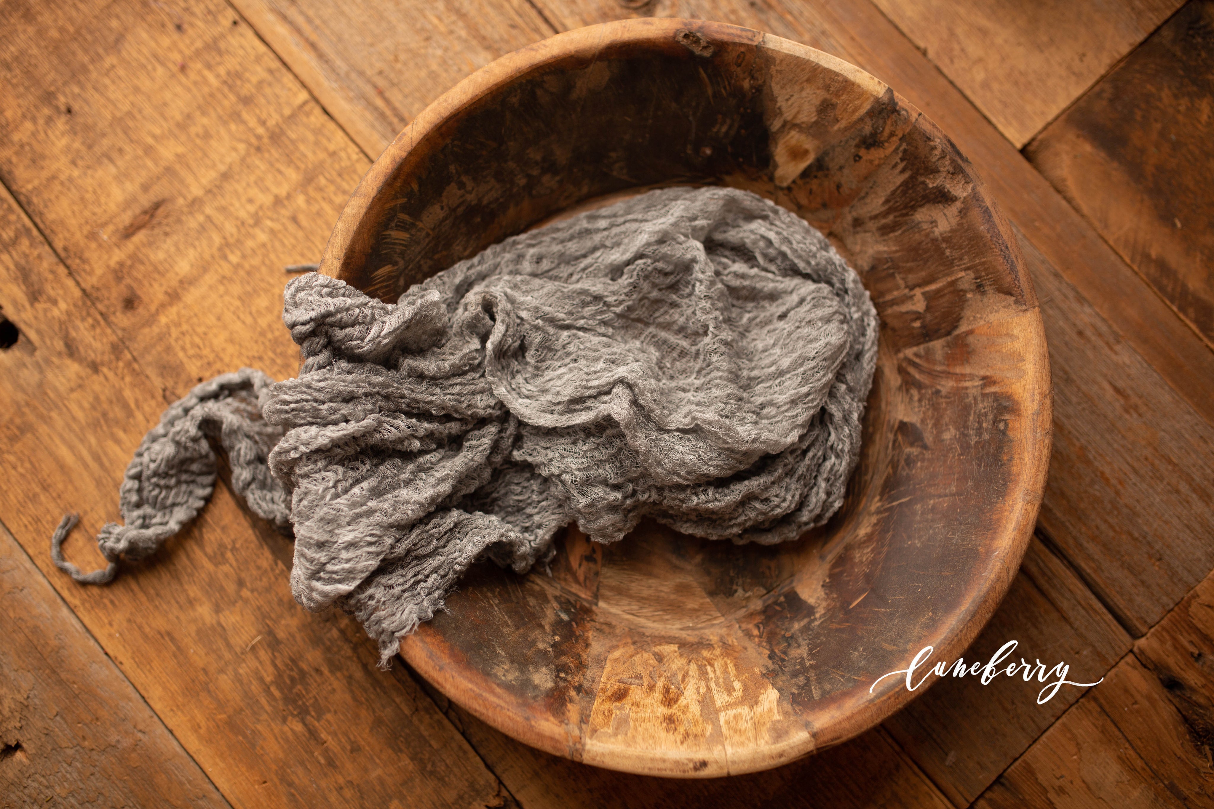 Extra Cheesy Cheesecloths Luneberry, LLC